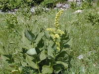 Argentires (Haute Savoie),lac blanc,lundi 2 aot 2004