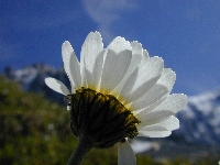 Plan de l'Aiguile (Haute Savoie),rochers,mercredi 17 aot 2005