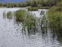 Sallanches (Haute Savoie),lac,samedi 12 aot 2006